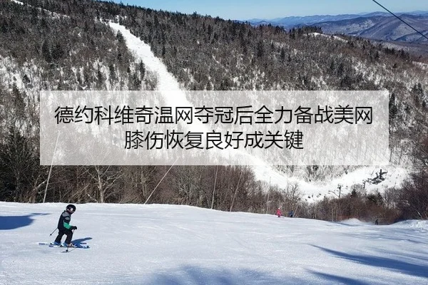 德约科维奇温网夺冠后全力备战美网 膝伤恢复良好成关键