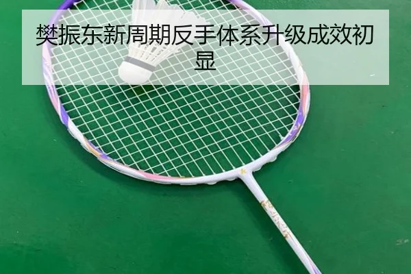 fan-zhen-dong-xin-zhou-qi-fan-shou-ti-xi-sheng-ji-cheng-xiao-chu-xian-2-682.jpg