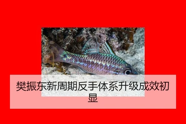fan-zhen-dong-xin-zhou-qi-fan-shou-ti-xi-sheng-ji-cheng-xiao-chu-xian-3-940.jpg