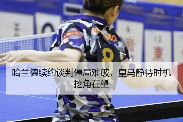 ha-lan-de-xu-yue-tan-pan-jiang-ju-nan-po-huang-ma-jing-dai-shi-ji-wa-jiao-zai-wang-2-239.jpg