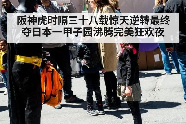 阪神虎时隔三十八载惊天逆转最终夺日本一甲子园沸腾完美狂欢夜