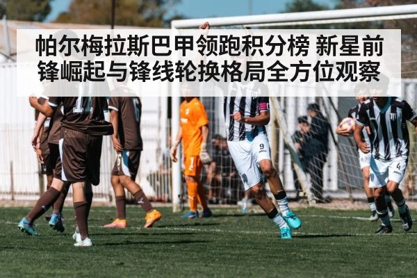 帕尔梅拉斯巴甲领跑积分榜 新星前锋崛起与锋线轮换格局全方位观察