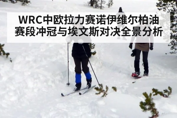 WRC中欧拉力赛诺伊维尔柏油赛段冲冠与埃文斯对决全景分析